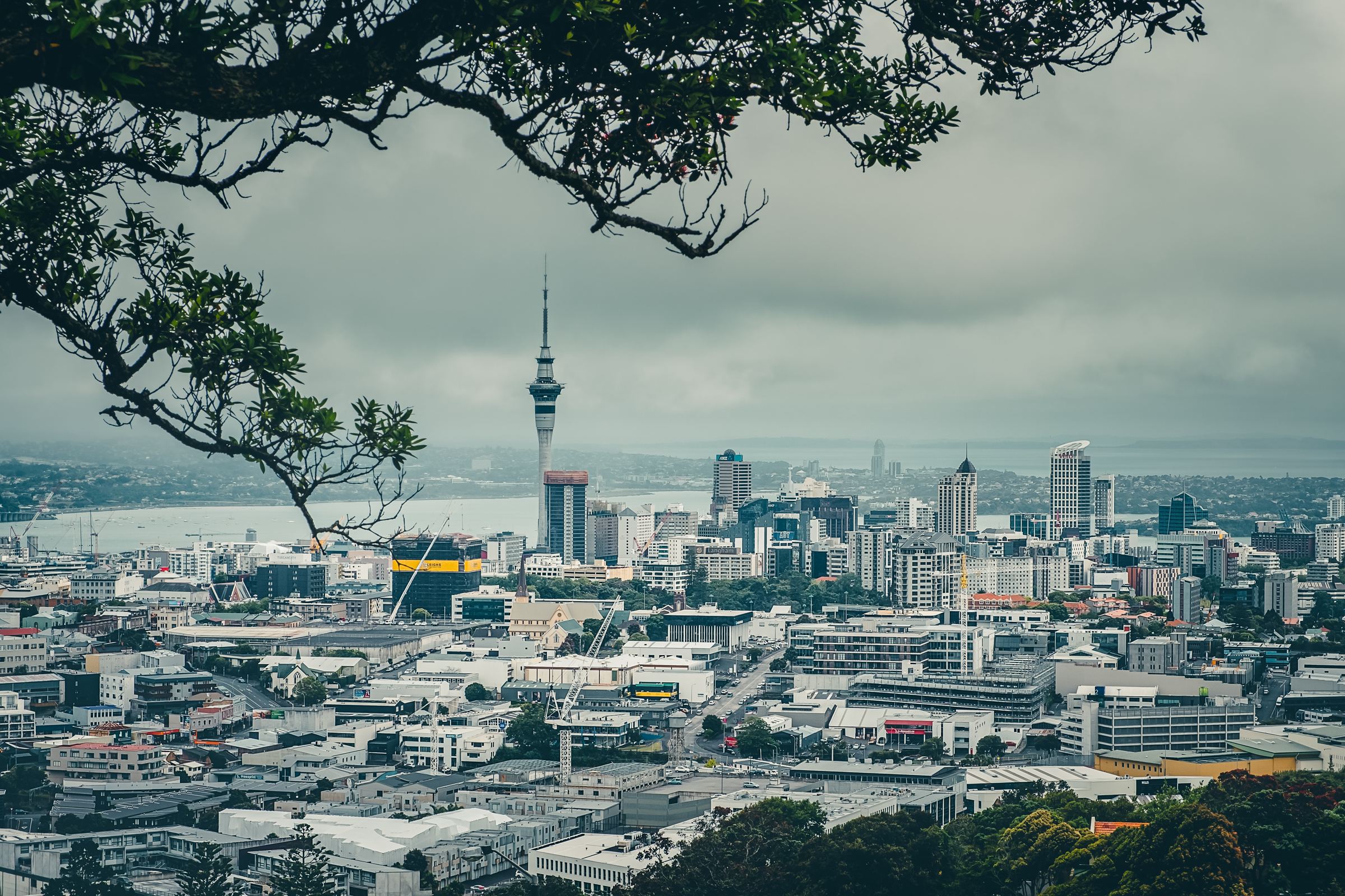 Auckland city from above