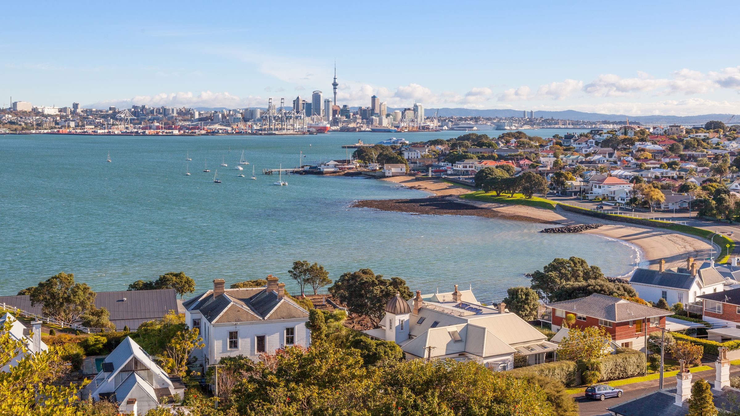 Coastal homes and city skyline in New Zealand